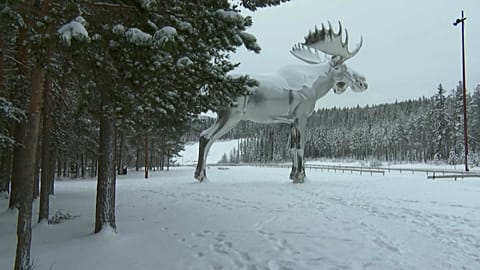 Стальной лось рекордных размеров