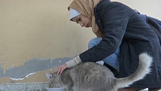 "من الجيد العناية بالقطط، ومهم أيضا أن تصل المساعدات للمحتاجين من الناس"
