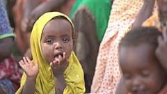 Ethiopia: 3 million internally displaced in escalating humanitarian crisis