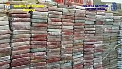 Maxi sequestro al porto di Genova: scoperto carico di cocaina di oltre due tonnellate