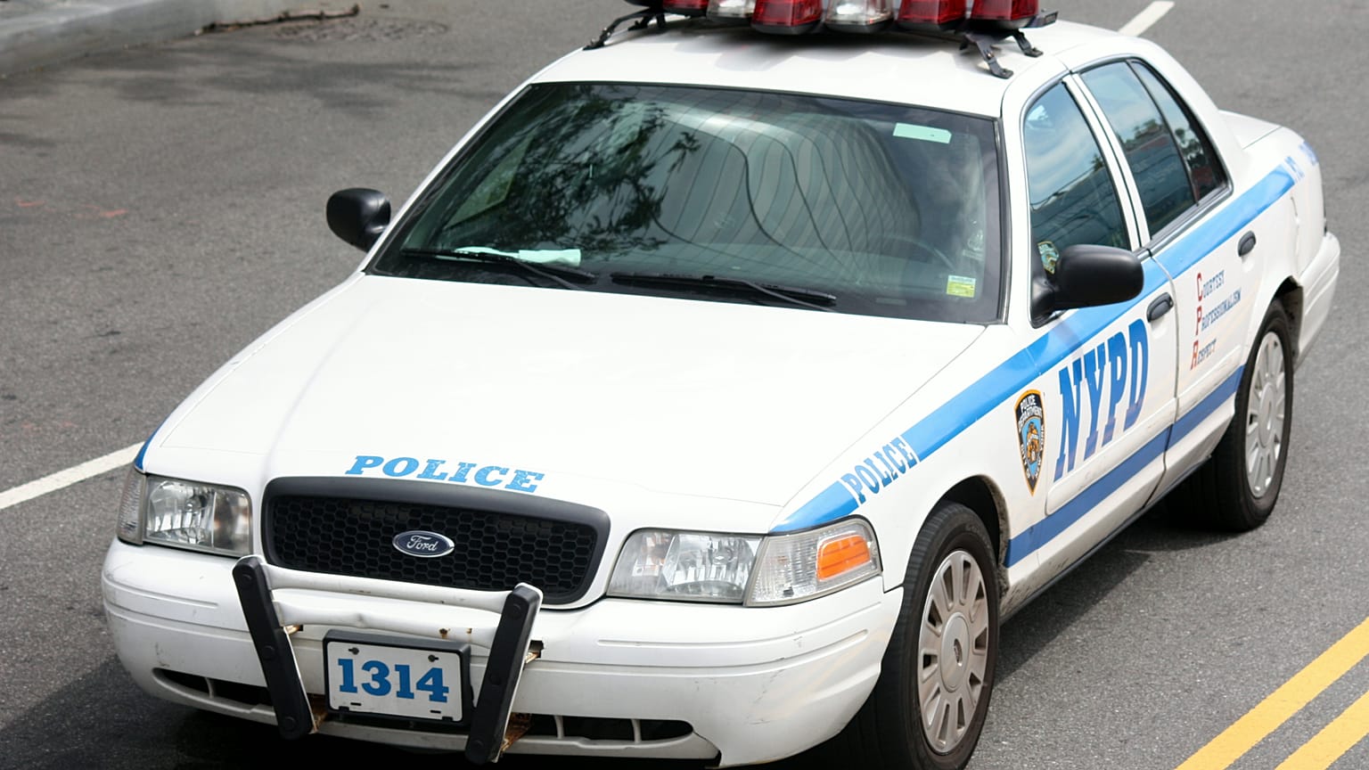 Köpeğini ısırarak yaralayan bir kişi FBI ajanları tarafından yakalandı