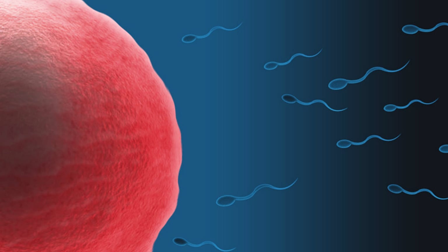 Couples wanted for male contraceptive gel medical trial