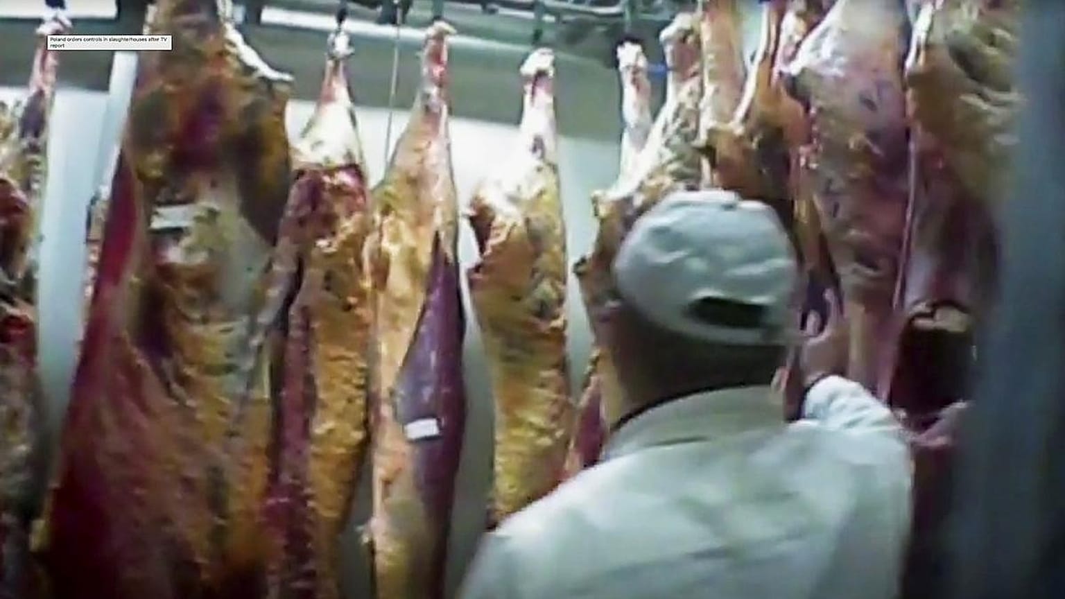 Polonya'da sahte et skandalı