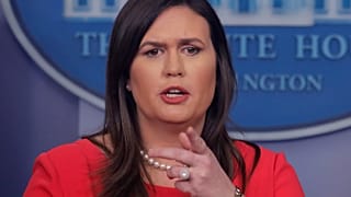 sanders