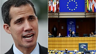 Venezuela Ulusal Meclisi Başkanı Juan Guadio