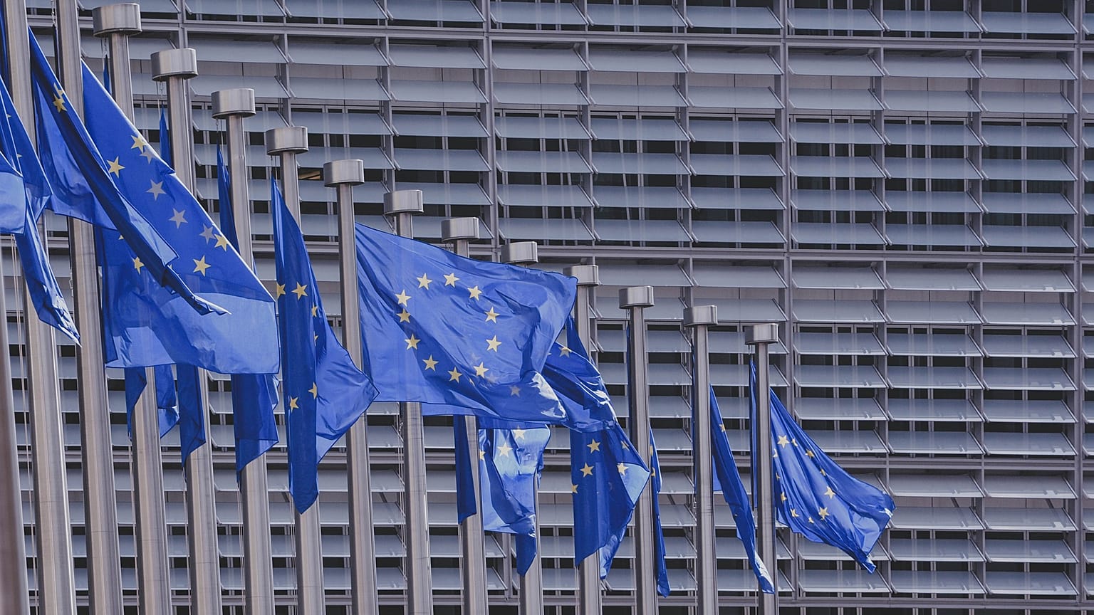 Как европейцы выбирают общий парламент