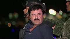 خوانكين غوزمان إل تشابو