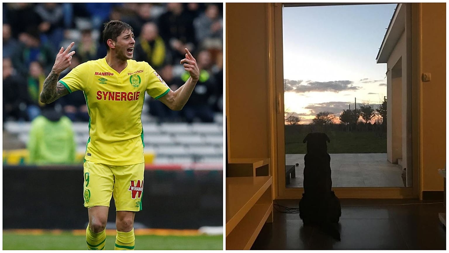 Emiliano Sala'nın köpeği Nala da sahibinin eve dönmesini bekliyor
