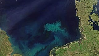 NASA Earth Observatory