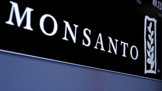 Paul François, un paysan français contre Monsanto