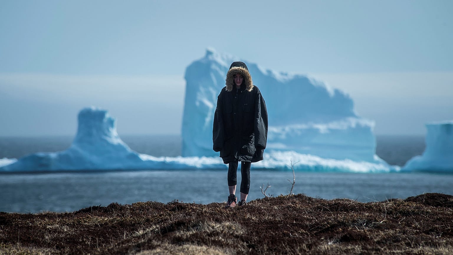 De la fonte des glaces au chaos climatique