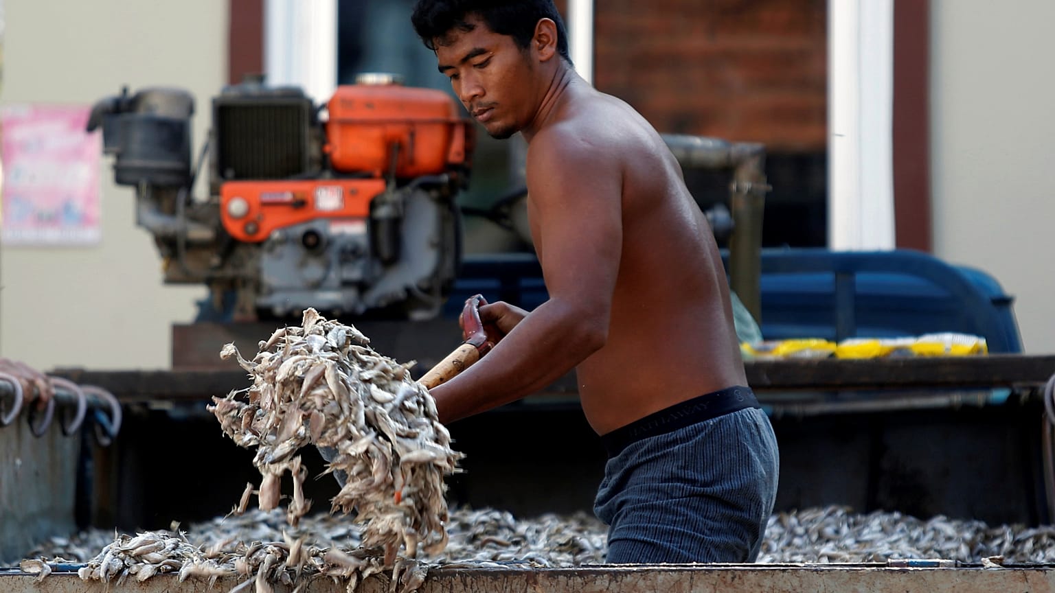 La lucha de la UE contra la pesca ilegal en Tailandia 