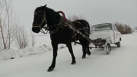 Teacher uses 'horse car' for daily commute
