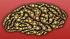 لنضبط العقل على الموجة التي نريد