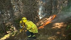 Μαίνεται η πύρινη λαίλαπα στην περιφέρεια Νέλσον