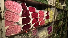 Brexit: danni anche al mercato olandese dei fiori 