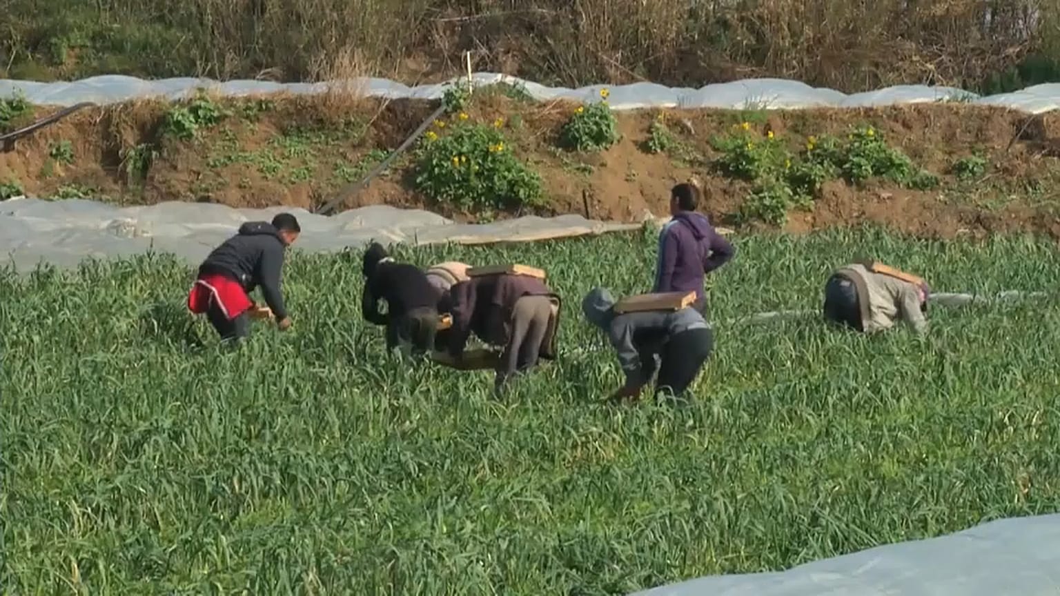 فلسطينيو غزة يحاولون تعويض وقف المساعدات الأمريكية بالمشاريع الصغيرة