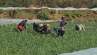 فلسطينيو غزة يحاولون تعويض وقف المساعدات الأمريكية بالمشاريع الصغيرة