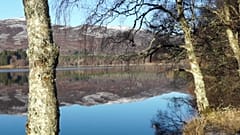 Brexit-Roadtrip: Wie ist die Stimmung in Schottland?