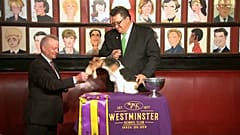 Belohnung für „King“: Verrückte Hundetradition in New York
