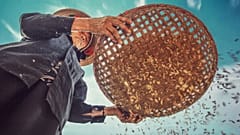 A game changing resource for the environment