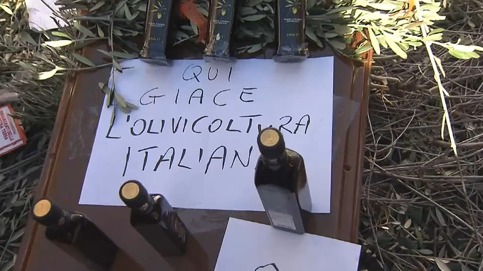 Olio e latte, i grandi problemi dell'agricoltura italiana