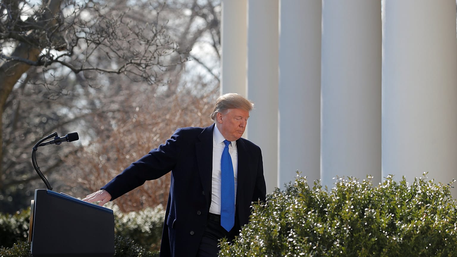 donald trump