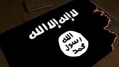 دانستنی‌ها؛ ظهور و سقوط داعش