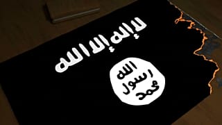 دانستنی‌ها؛ ظهور و سقوط داعش