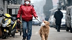 A levegőszennyezés mára több ember halálát okozza, mint a háborúk vagy a dohányzás