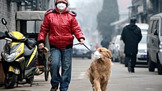 A levegőszennyezés mára több ember halálát okozza, mint a háborúk vagy a dohányzás