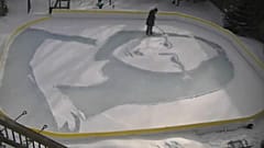 @TheRinkArtist 