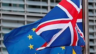 Third of French and Italians think the UK has already left the EU: Euronews survey