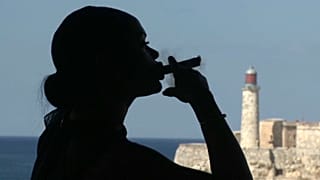 Habanos SA, "puro negocio" a pesar de un contexto internacional desfavorable