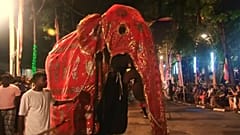 Buddhistischer Festzug lockt Touristen nach Colombo