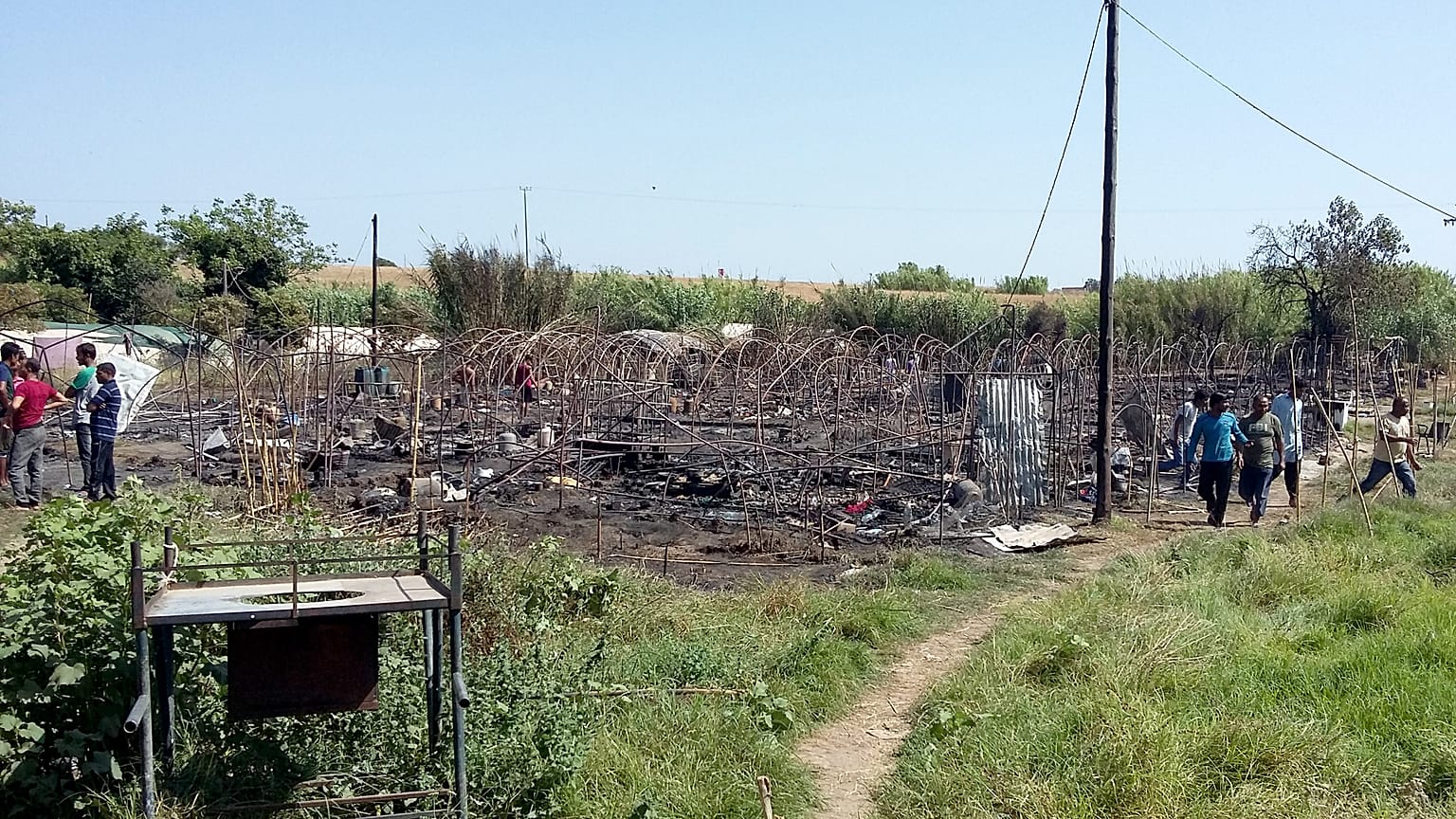 Νέα εισαγγελική παρέμβαση για τα φραουλοχώραφα της Μανωλάδας