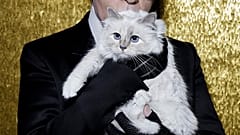 Karl Lagerfeld podría dejar su fortuna a su gata Choupette