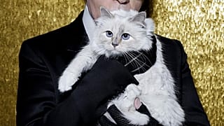 Karl Lagerfeld podría dejar su fortuna a su gata Choupette