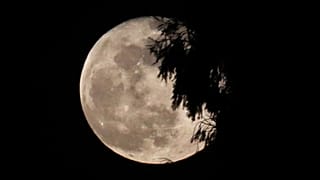 Pleine lune photographiée à Leeuw-Saint-Pierre, Belgique | 20/02/2019