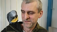 Dublin's 'pet detectives' identify parrot owner using Slovak voice recordings