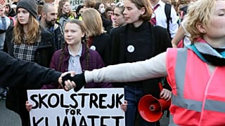 İklim eylemlerinin 'sembol'lerinden Greta Thunberg AB yetkilileri ile görüştü