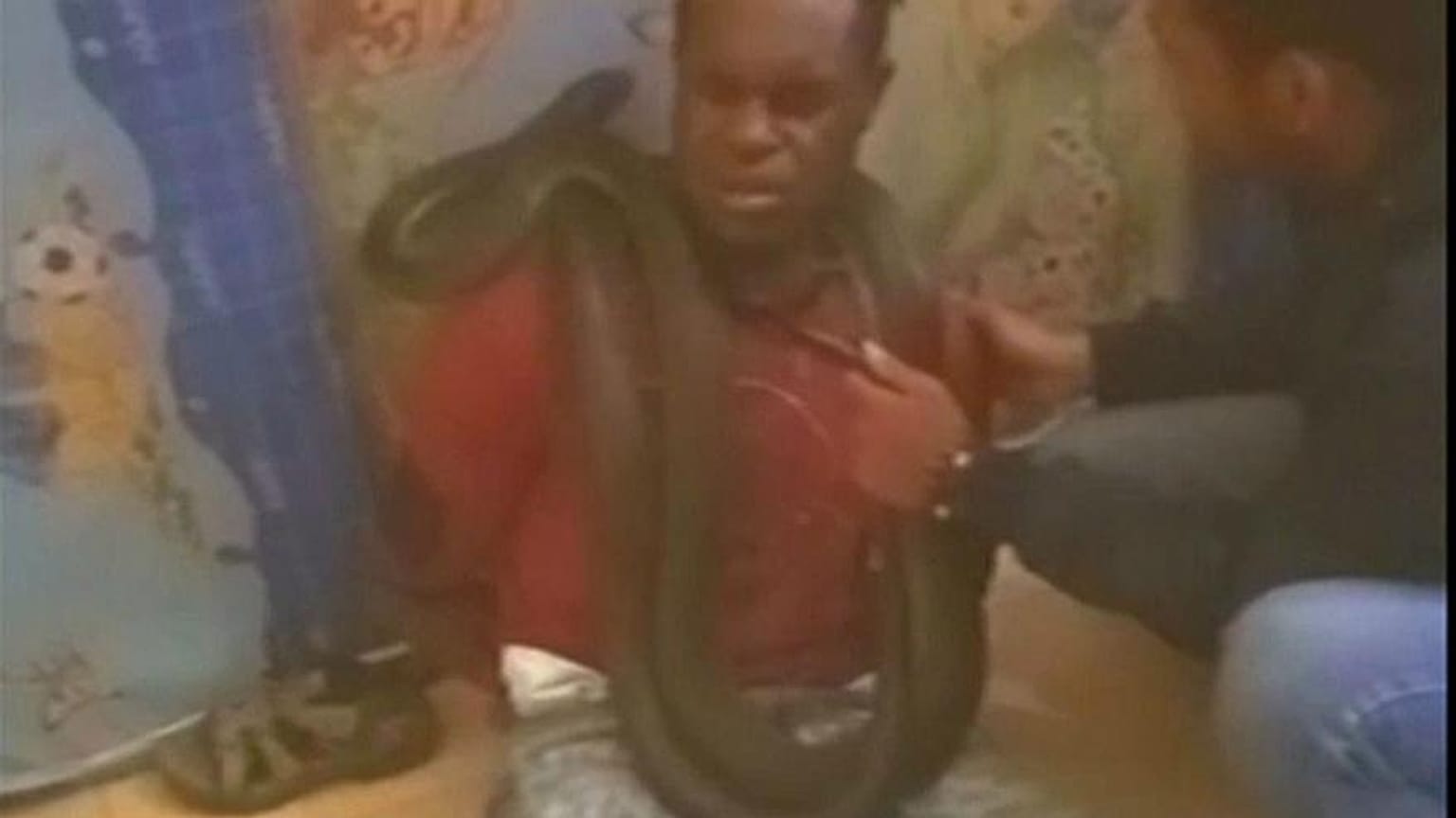 Endonezya'nın Papua Adası 