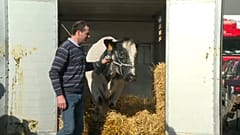 Imminence, star du Salon de l'Agriculture