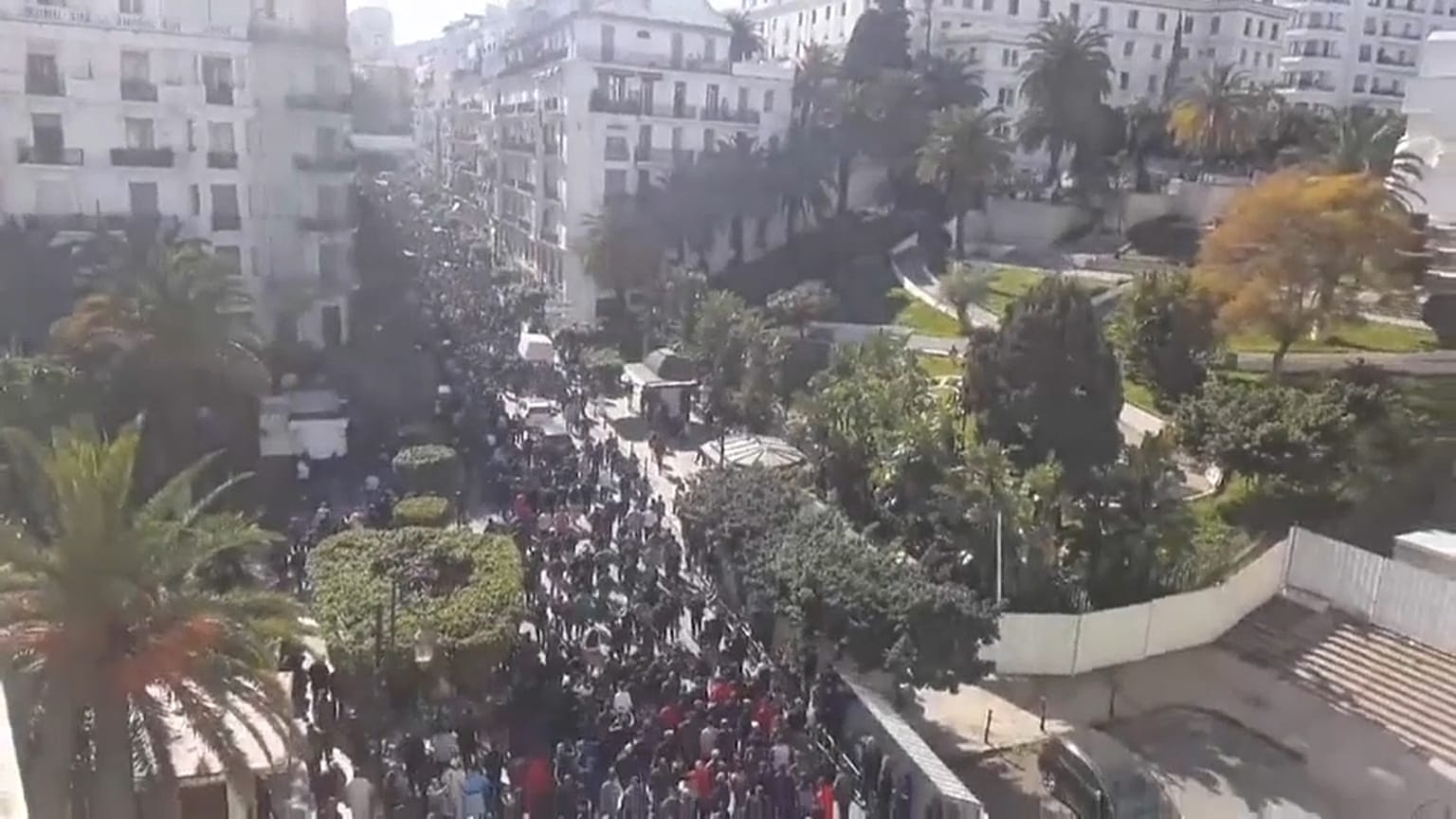 مظاهرات الجزائر