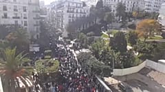 مظاهرات الجزائر