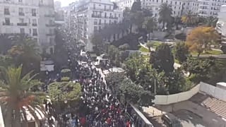 مظاهرات الجزائر