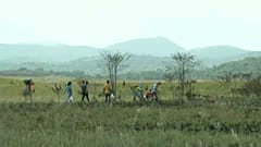 Венесуэла: стрельба на границе с Бразилией 