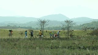 Венесуэла: стрельба на границе с Бразилией 