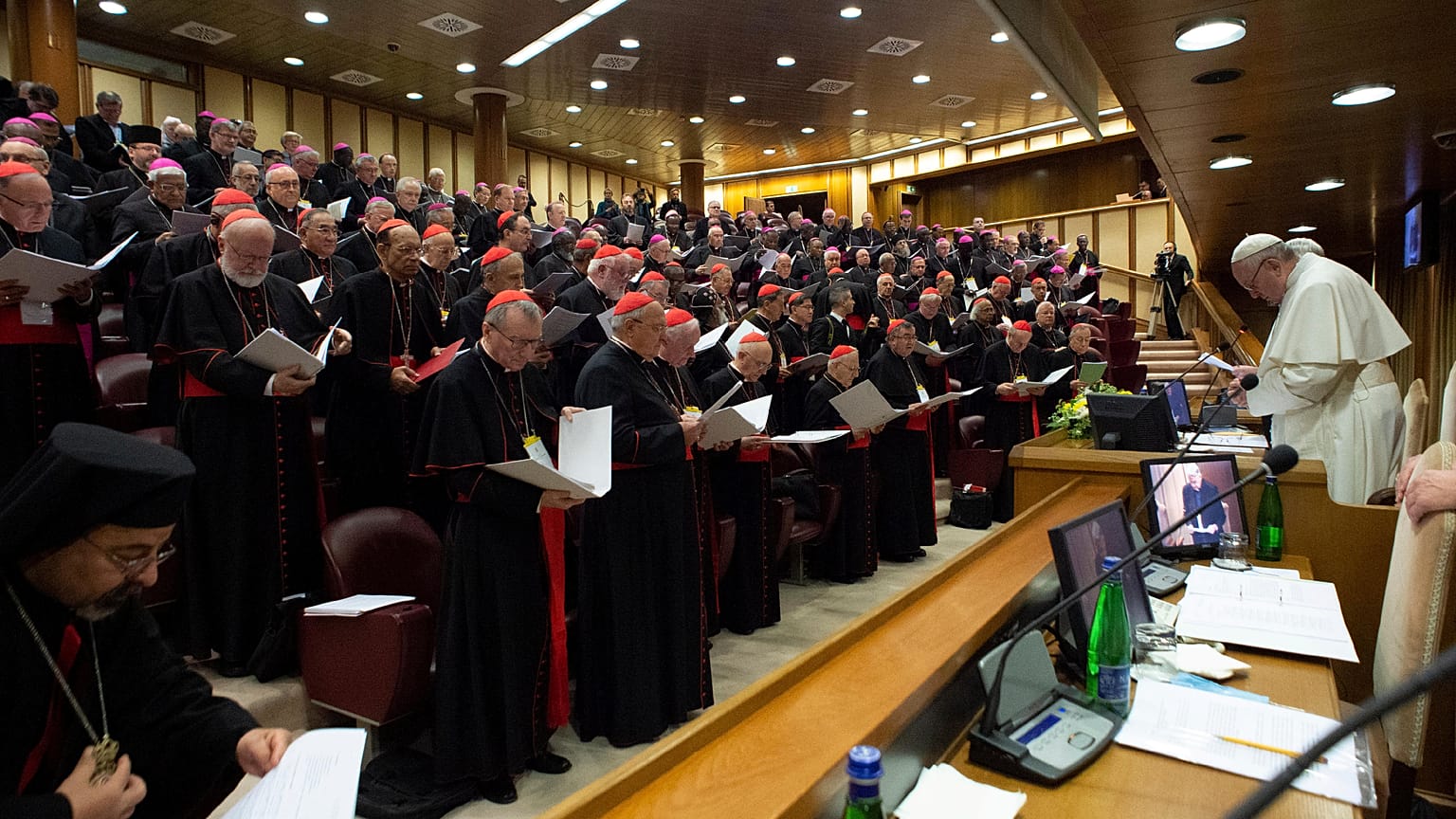 Sommet contre la pédophilie : l'Eglise a "détruit des dossiers"
