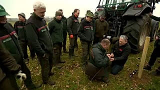 Kerítést épít Dánia a német határon
